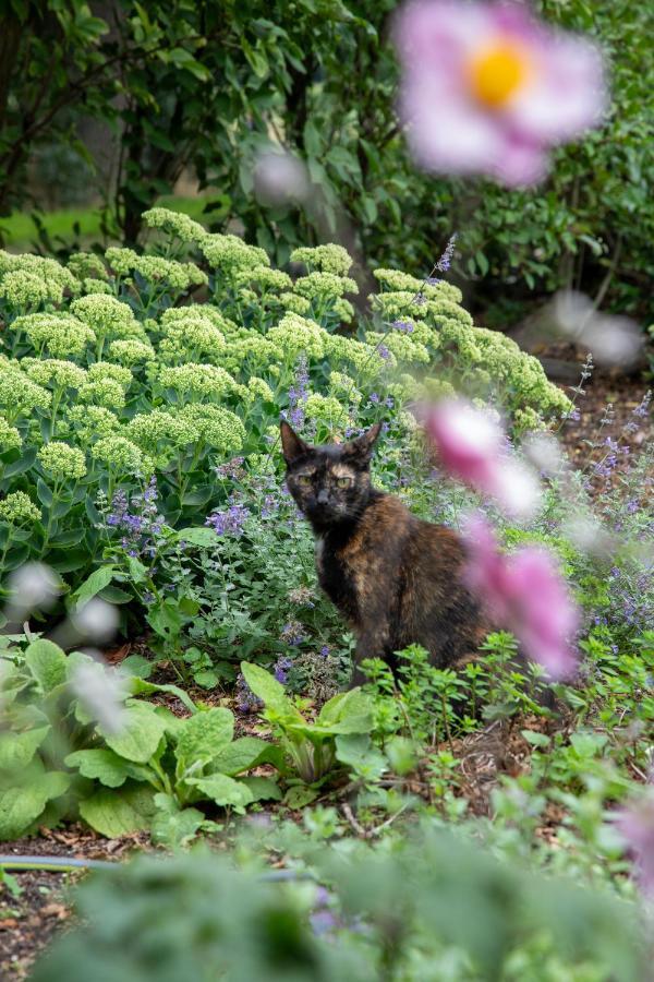 The Cat And The Owl B&B 그룬로 외부 사진